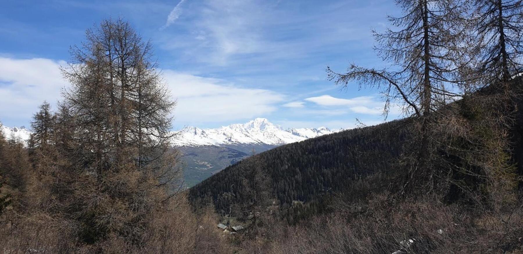 Residence Plagne Lauze - Maeva Home - Appartement 2 Pieces 5 Personnes - Confort Mae-9202 Macot-la-Plagne Exterior foto